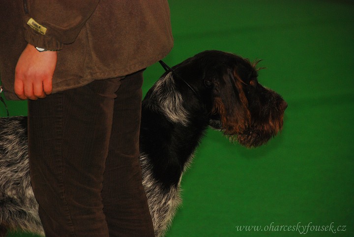 img00012.jpg