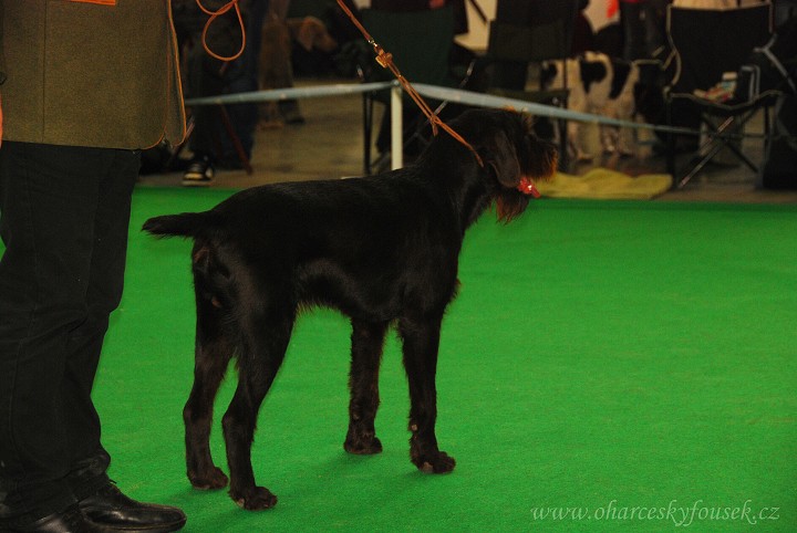 img00015.jpg