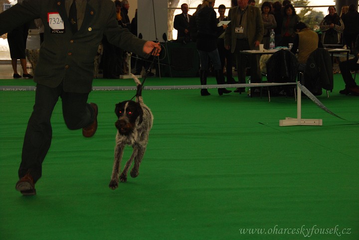img00018.jpg