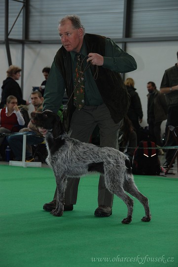 img00034.jpg