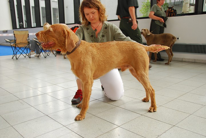 img00001.jpg