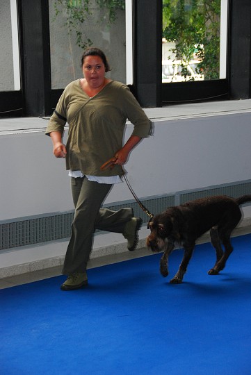 img00010.jpg