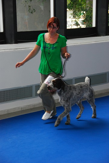 img00011.jpg