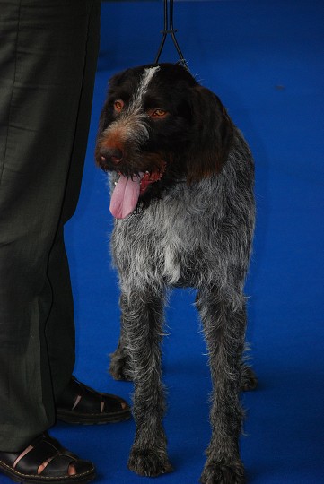 img00013.jpg
