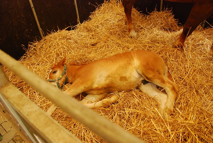 img00019.jpg