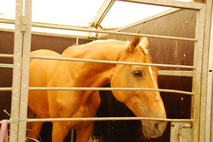 img00020.jpg