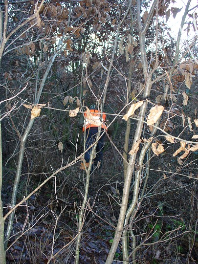 img00024.jpg