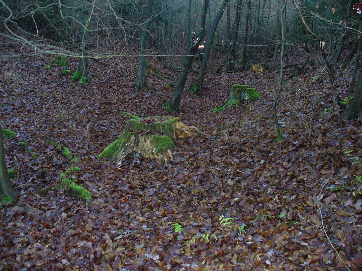 img00025.jpg