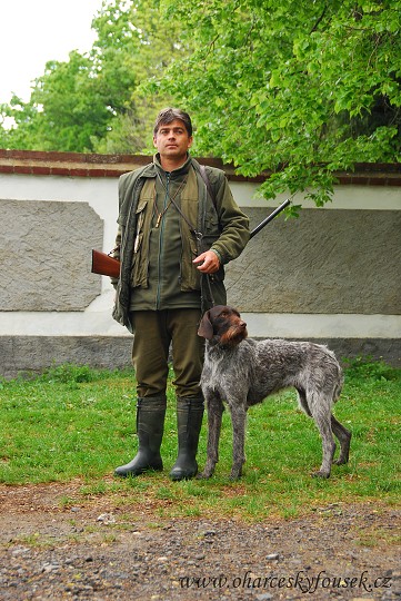 img00005.jpg