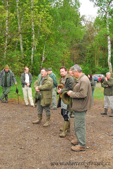 img00011.jpg