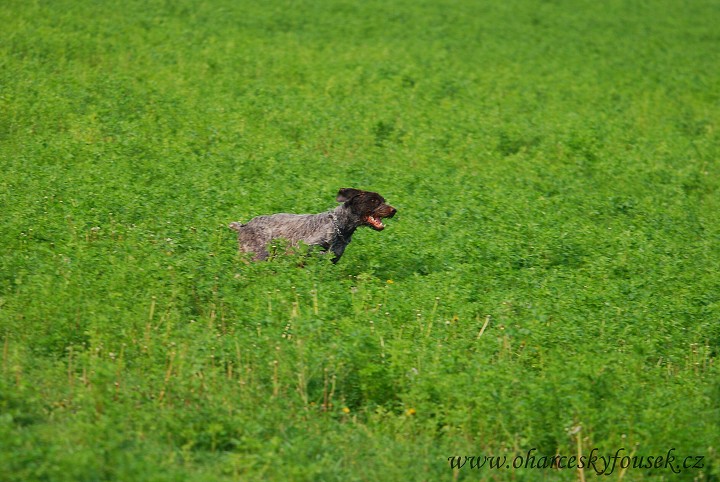 img00019.jpg