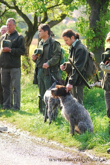 img00024.jpg