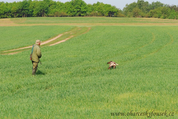img00027.jpg