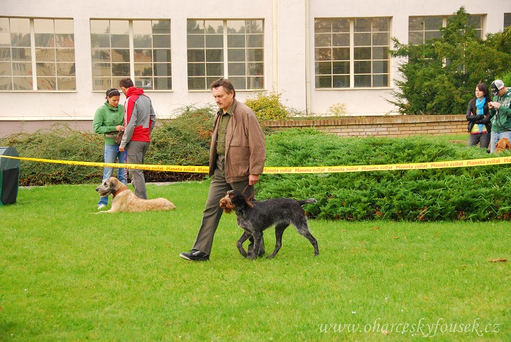 img00005.jpg
