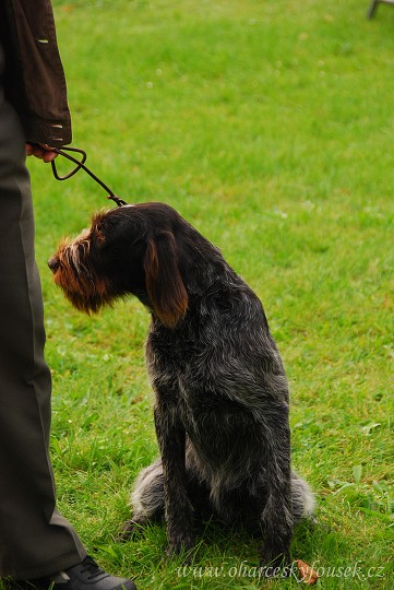 img00006.jpg