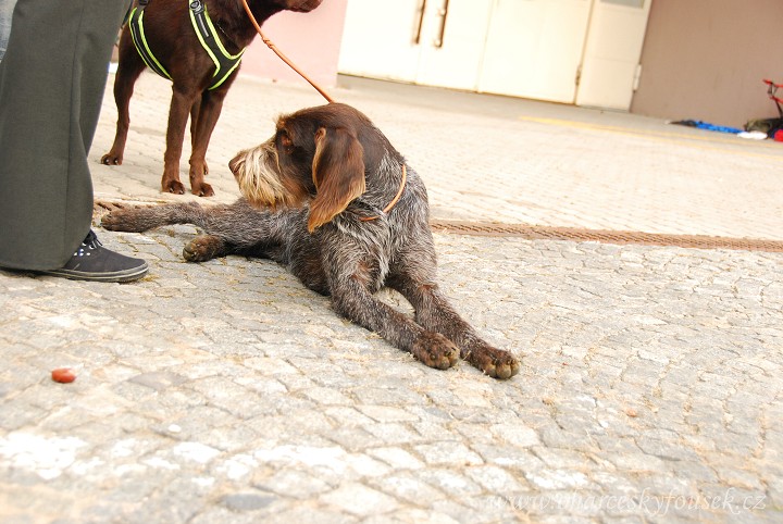img00009.jpg