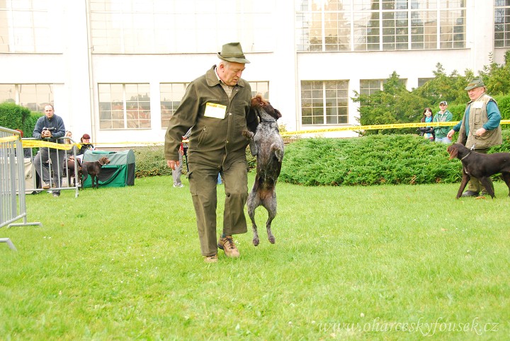 img00013.jpg
