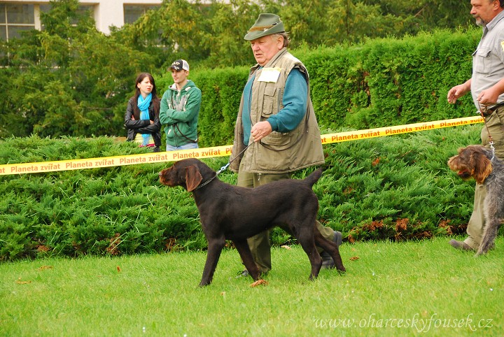 img00015.jpg