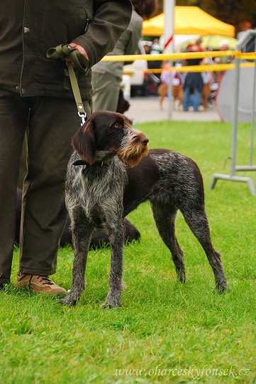 img00021.jpg