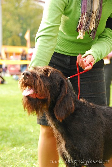 img00035.jpg