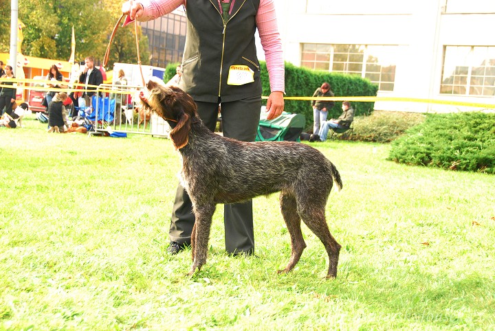 img00036.jpg