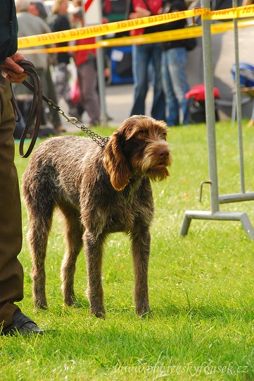 img00038.jpg