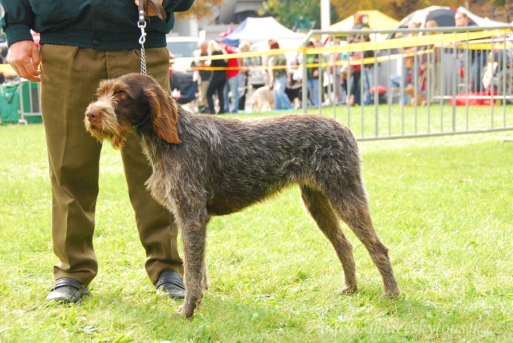 img00040.jpg
