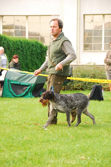 img00042.jpg
