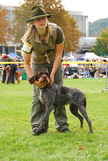 img00046.jpg