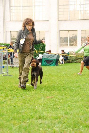 img00048.jpg