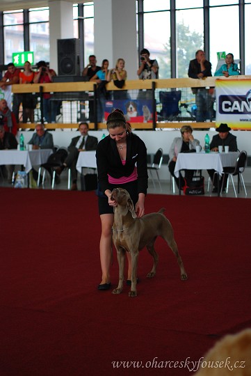 img00062.jpg
