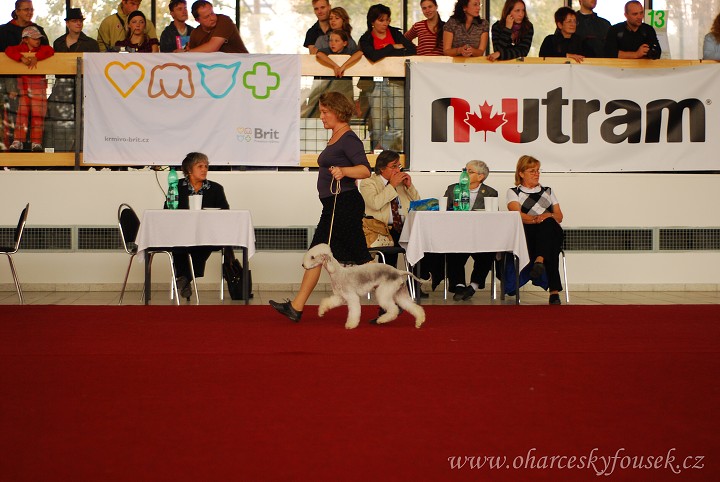 img00094.jpg