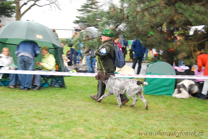 img00012.jpg
