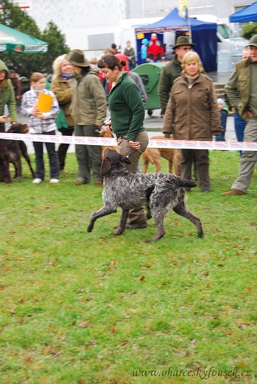 img00017.jpg