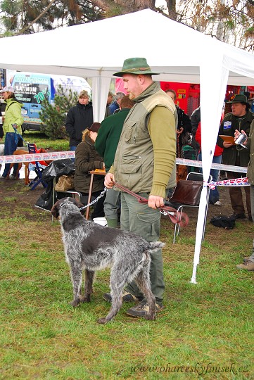 img00019.jpg