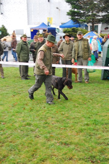 img00024.jpg