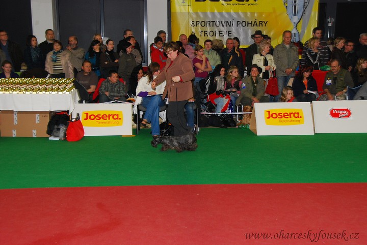 img00045.jpg