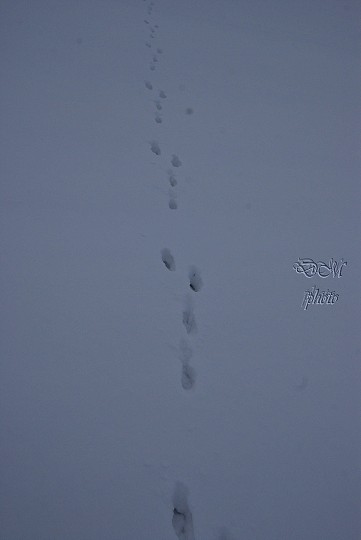 img00001.jpg