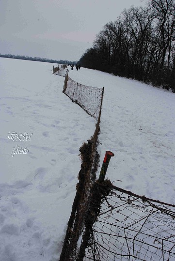 img00006.jpg