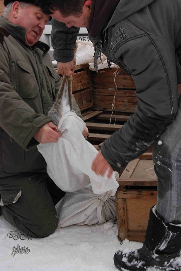 img00015.jpg