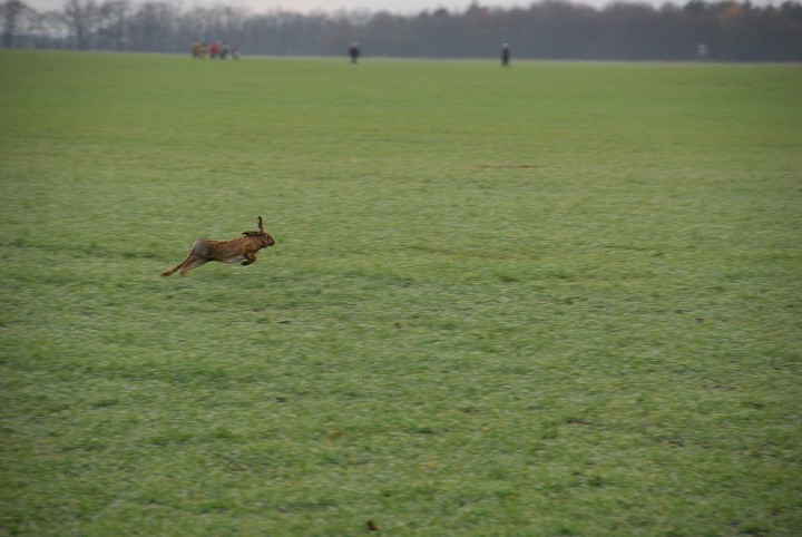 img00005.jpg