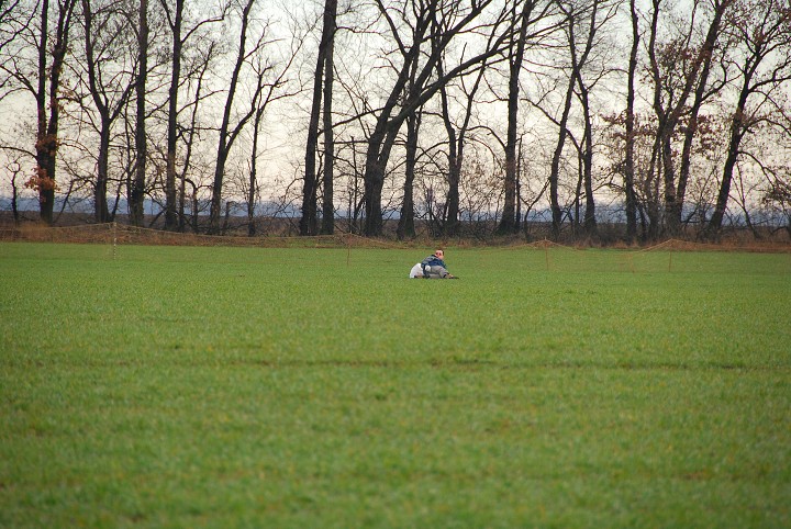 img00016.jpg