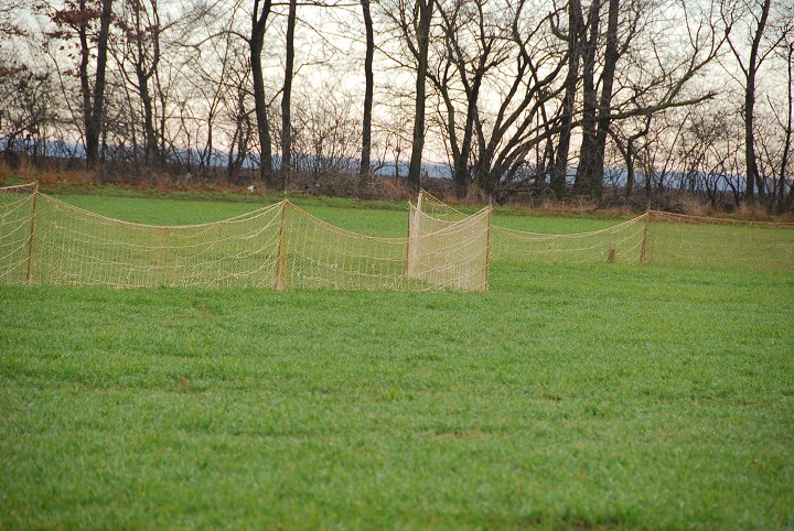 img00017.jpg