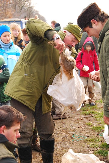 img00022.jpg