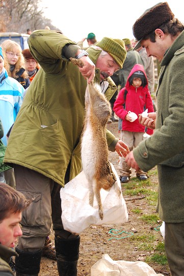 img00023.jpg