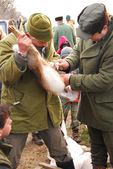 img00024.jpg