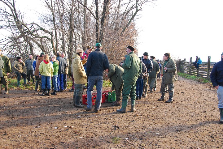img00037.jpg