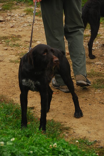 img00002.jpg