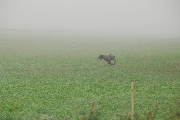 img00014.jpg