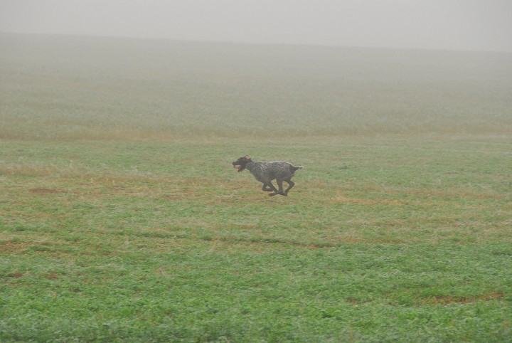 img00015.jpg